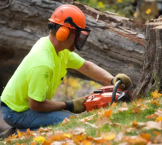 tree services Beaumont